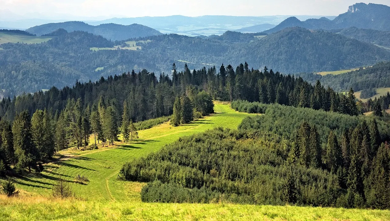 Pracowite lato GOPR-owców. Doszło aż do 182 interwencji 