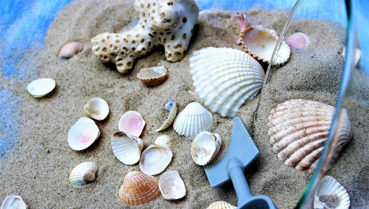 Plaga kradzieży piasku i muszelek z plaż Sardynii. Wysokie kary nie odstraszają...