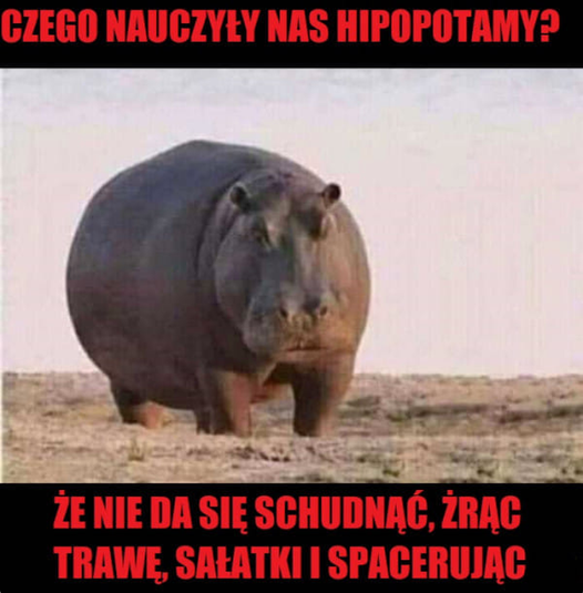 Życie