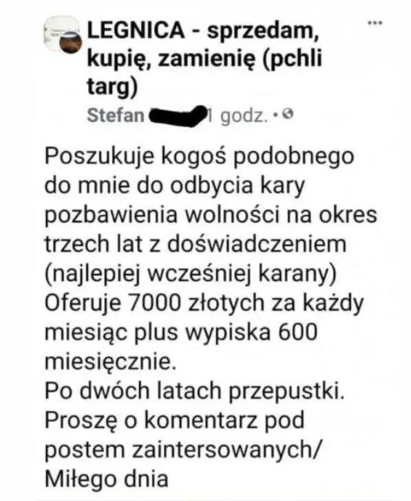 Niecodzienna oferta