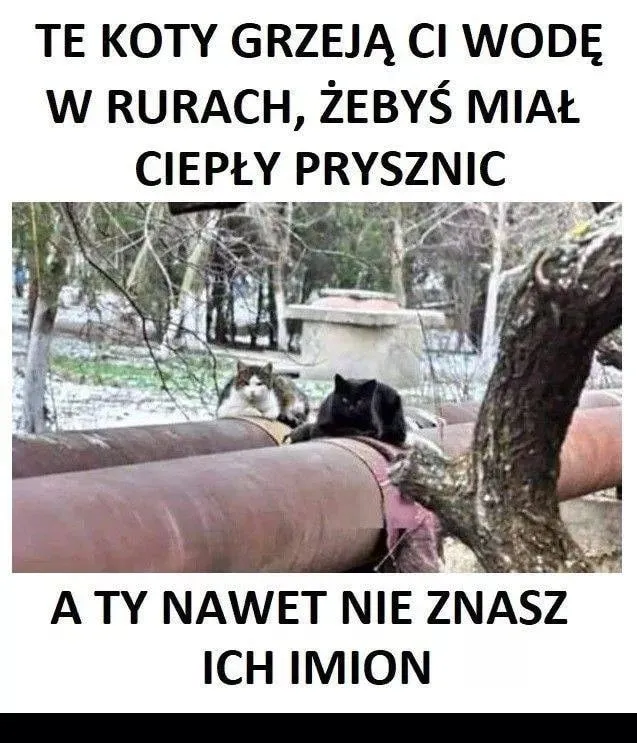 Bohater bez peleryny