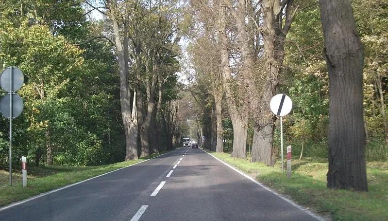 Trzy osoby ranne na drodze Grudziądz-Kwidzyn