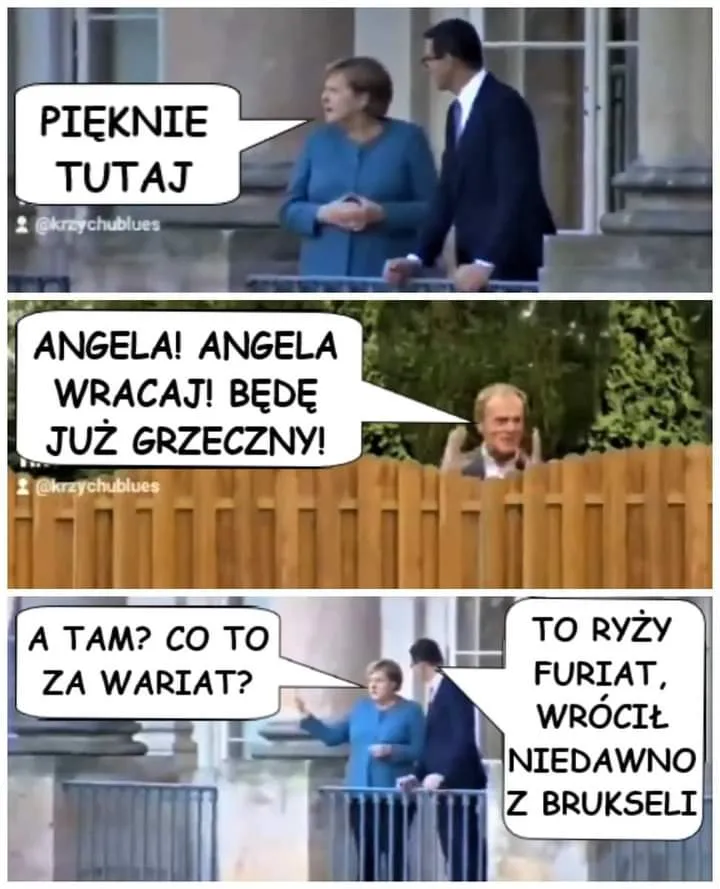 Co za wariat?