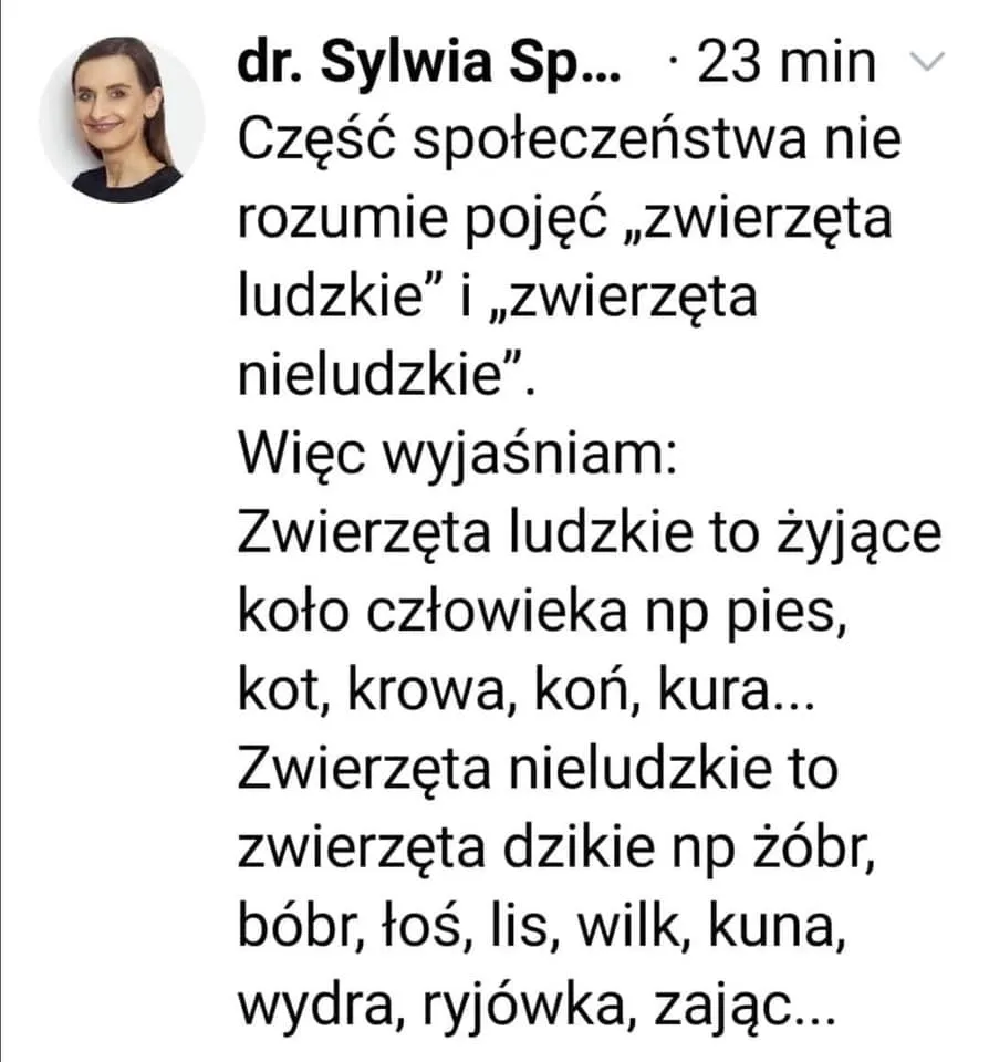 Wszystko jasne