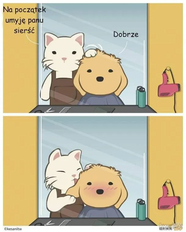 Do fryzjera
