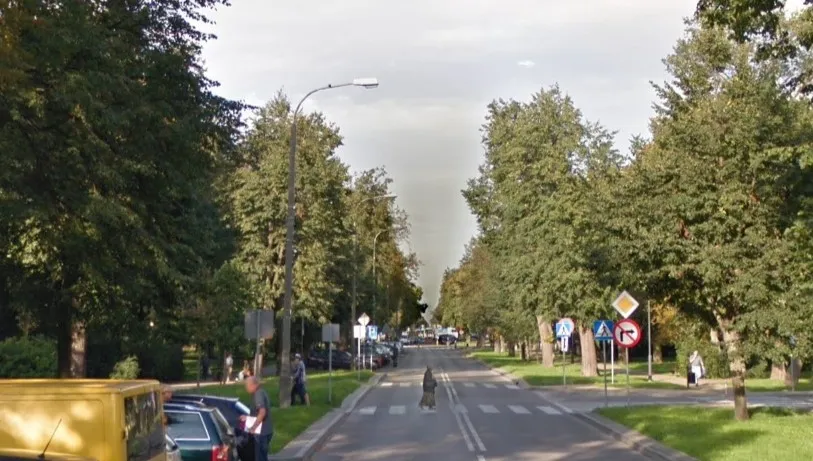 Nowe drzewa przy najważniejszej ulicy Puław