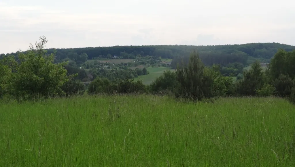 Bunt mieszkańców łódzkiego osiedla