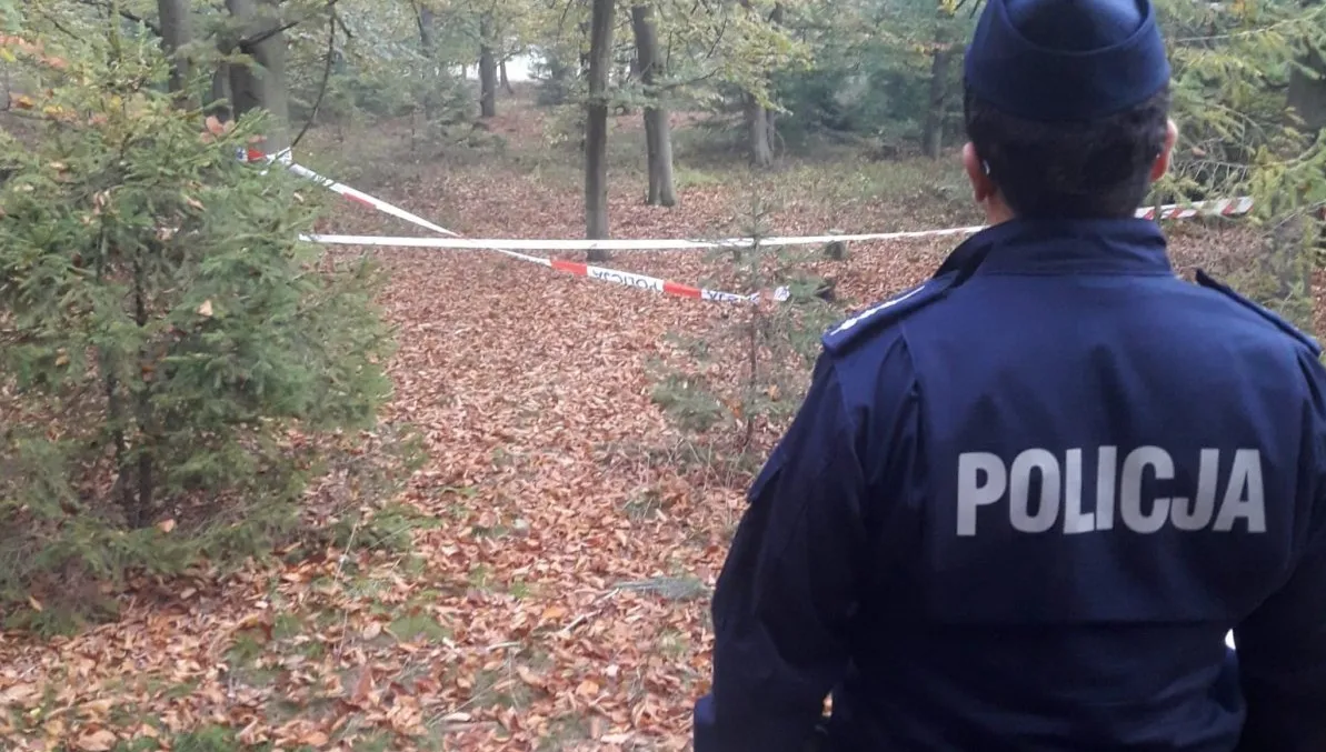 Grzybiarz znalazł pocisk z okresu II wojny światowej