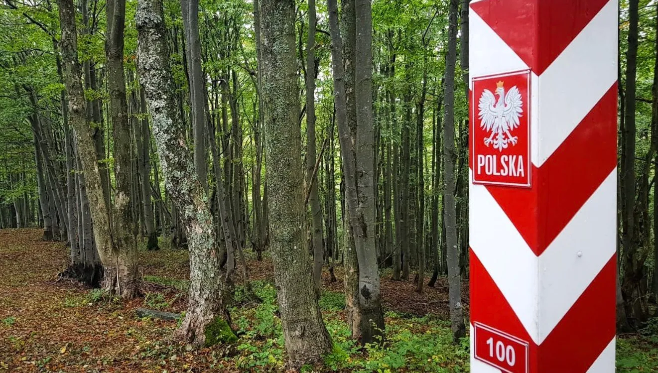 Straż Graniczna zatrzymała 8 nielegalnych imigrantów