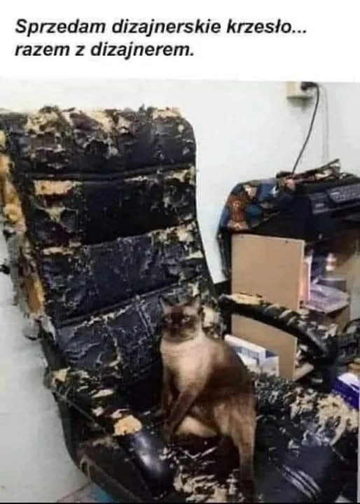 Krzesło z dizajnerem