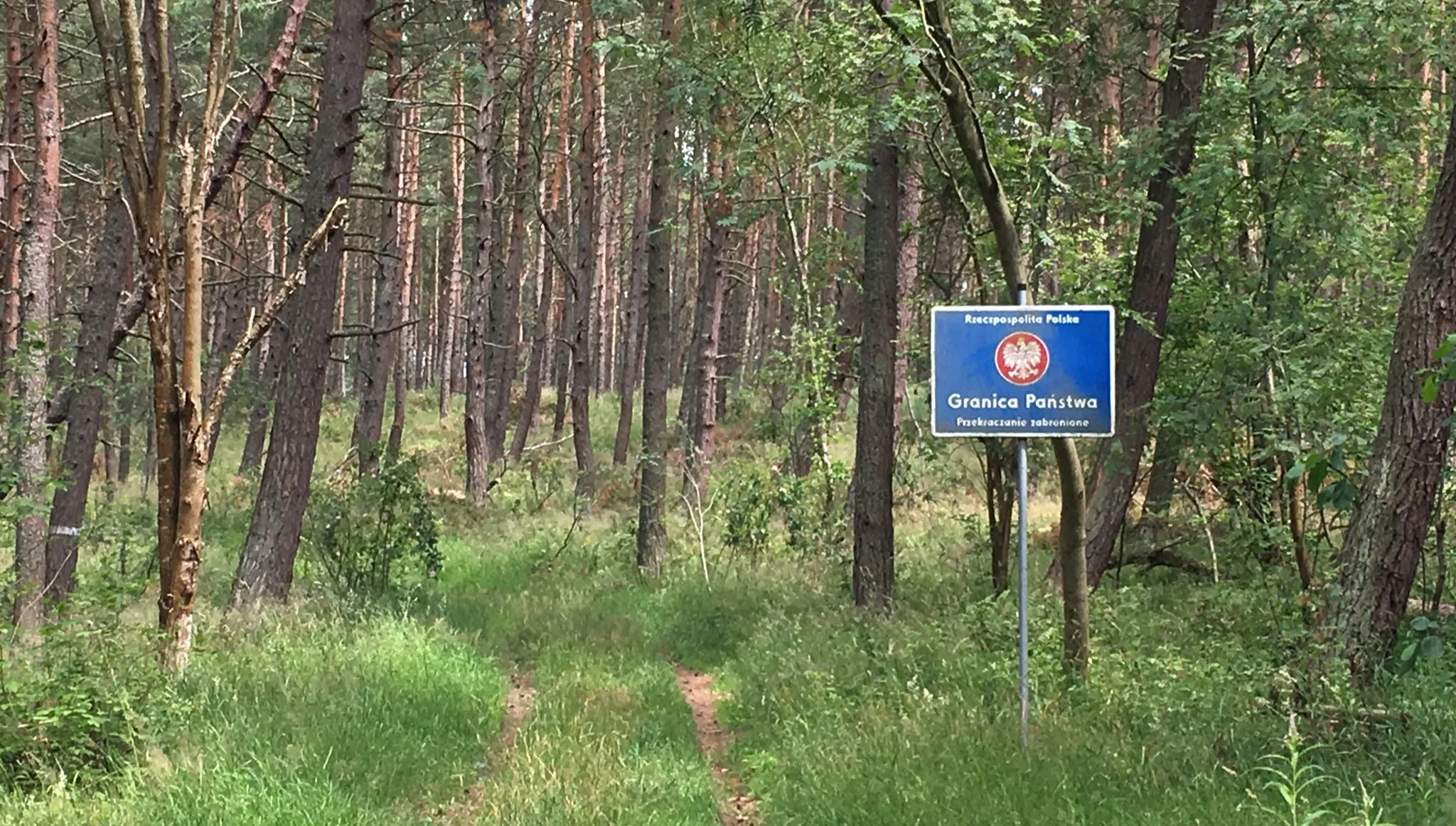 Odtworzono szczegóły przemytu uchodźców. Pobyt w Rosji, samolot do Mińska, kilka dni w hotelu i taksówką na granicę z Polską