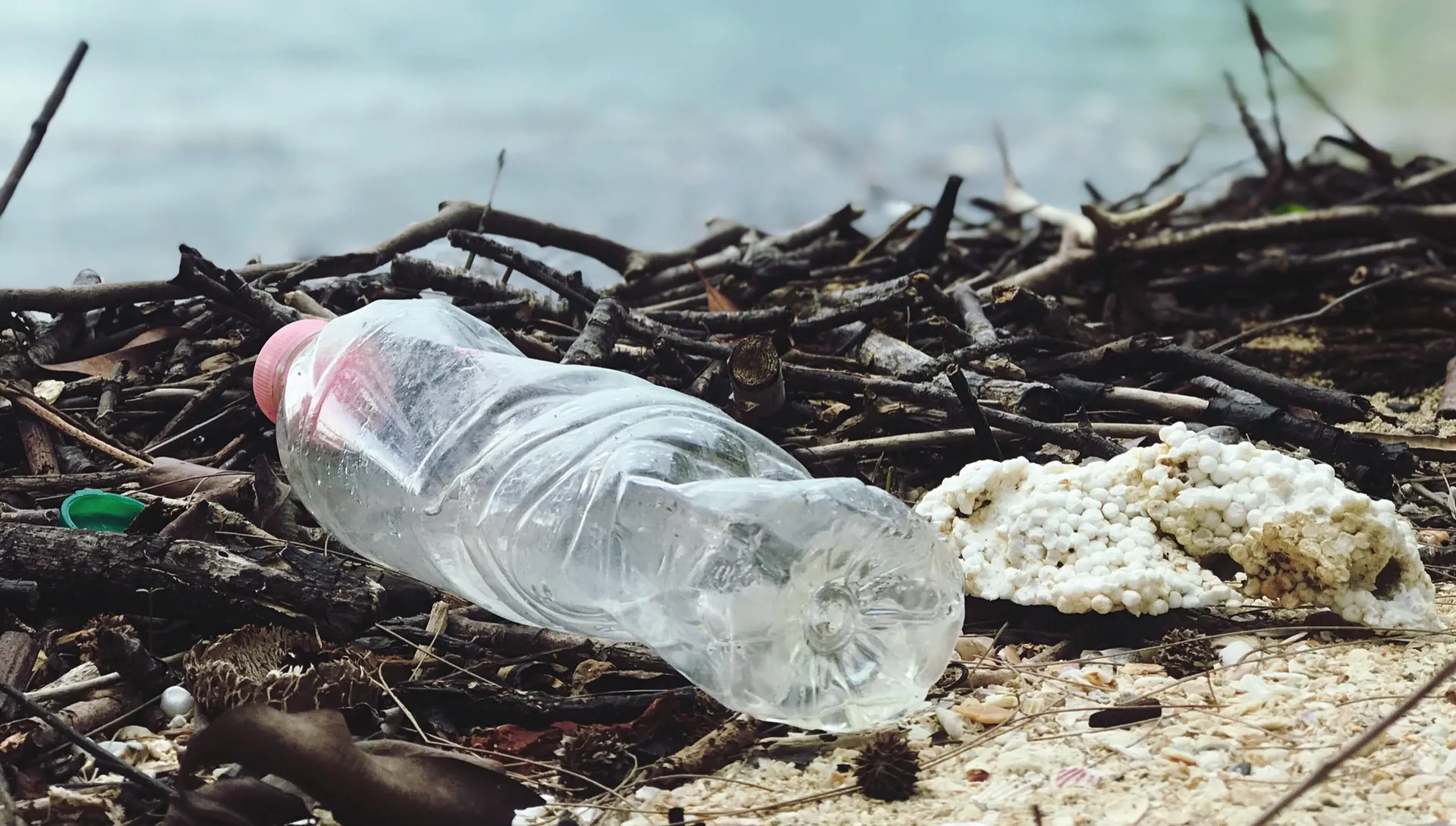 Ta bakteria zjada plastik i… ratuje środowisko!