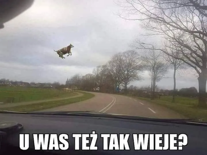 Wieje