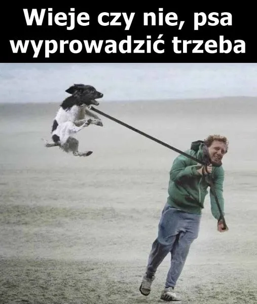 Spacer