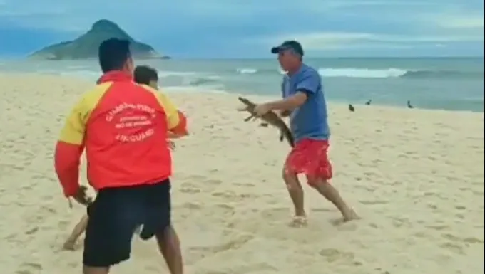 Jako broni podczas bójki na plaży użył... aligatora! Mamy WIDEO
