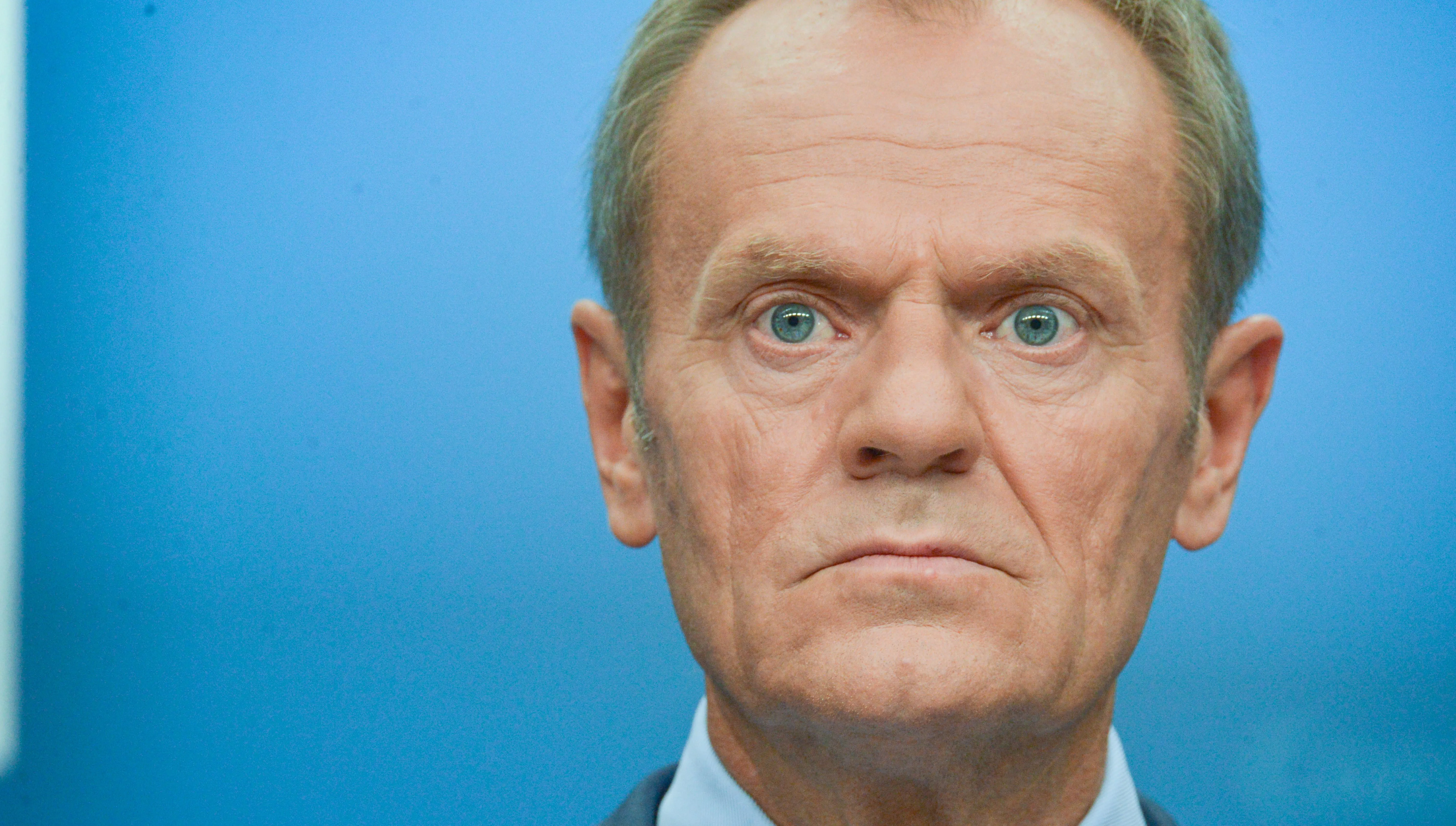 Tusk żartuje?! „PiS odziedziczył gospodarkę w bardzo stabilnym stanie”. Odpowiada mu posłanka Arent