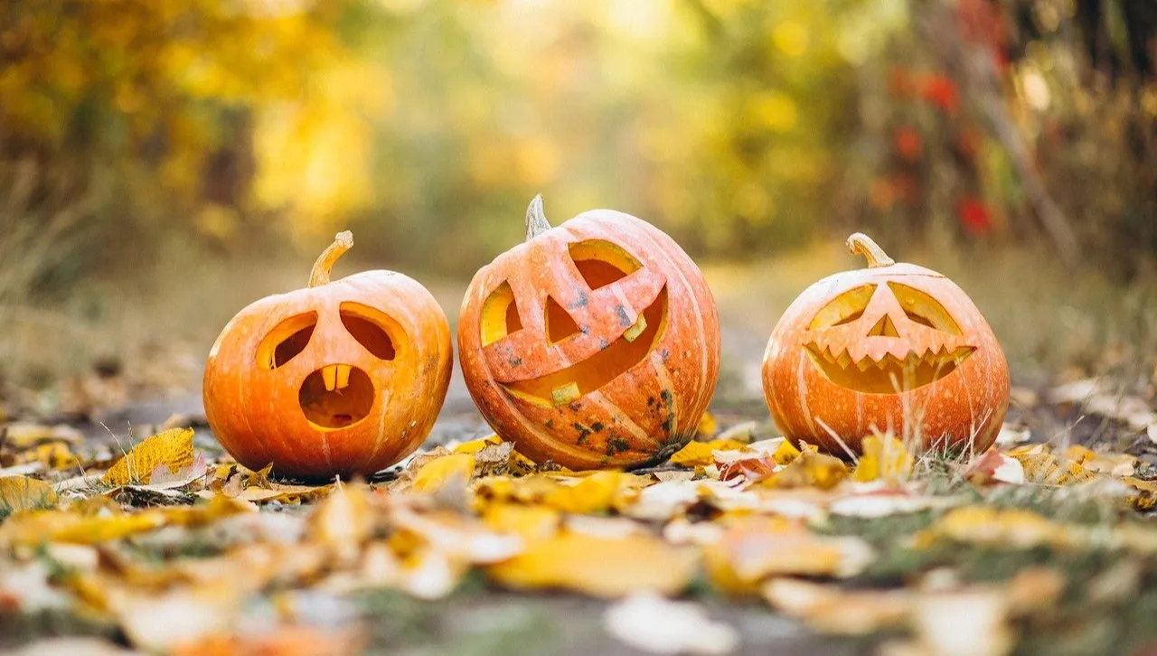 Halloween i dyniowy problem (nie tylko w USA). Ile osób można by nakarmić? Nie uwierzycie!