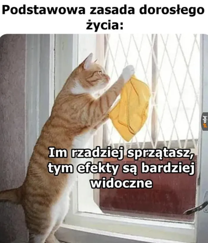 Dorosłe życie