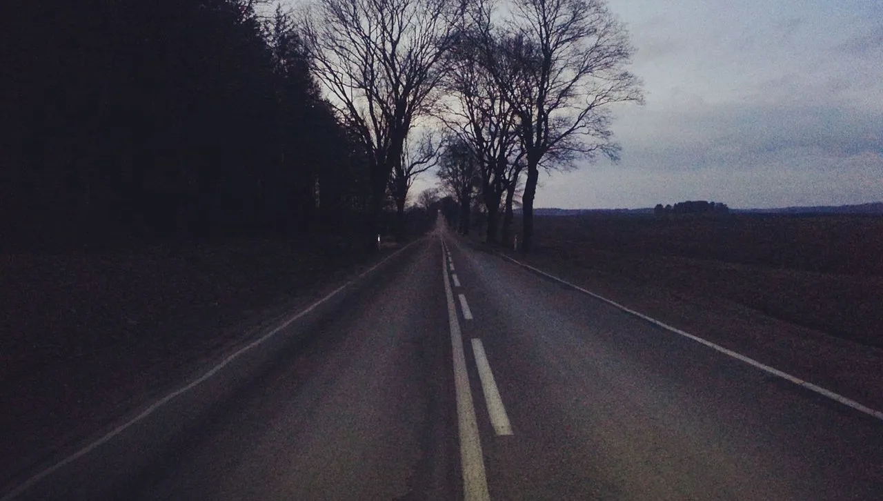 Kierowca chciał ominąć dziki na drodze. Samochód dachował