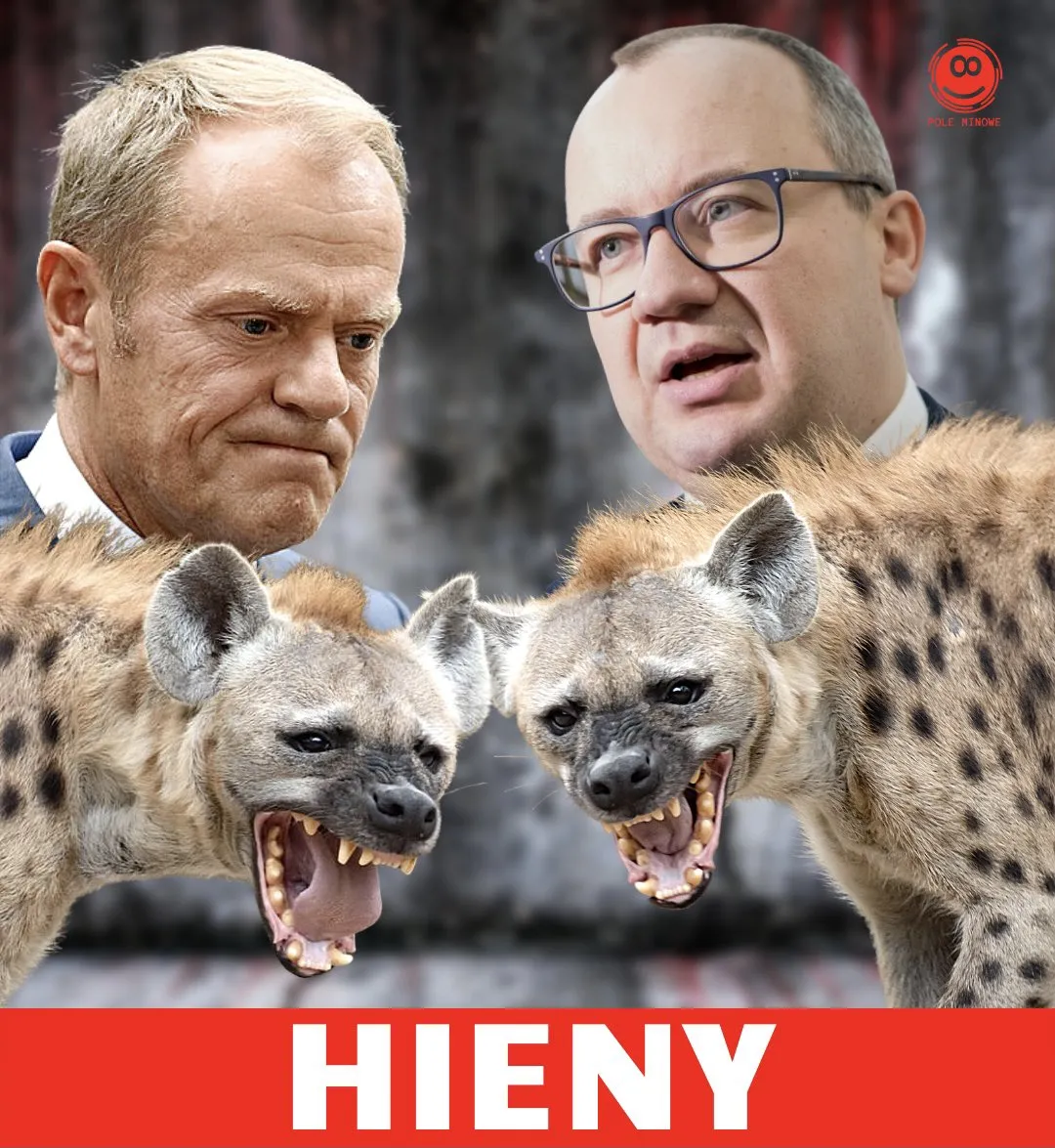 Hieny