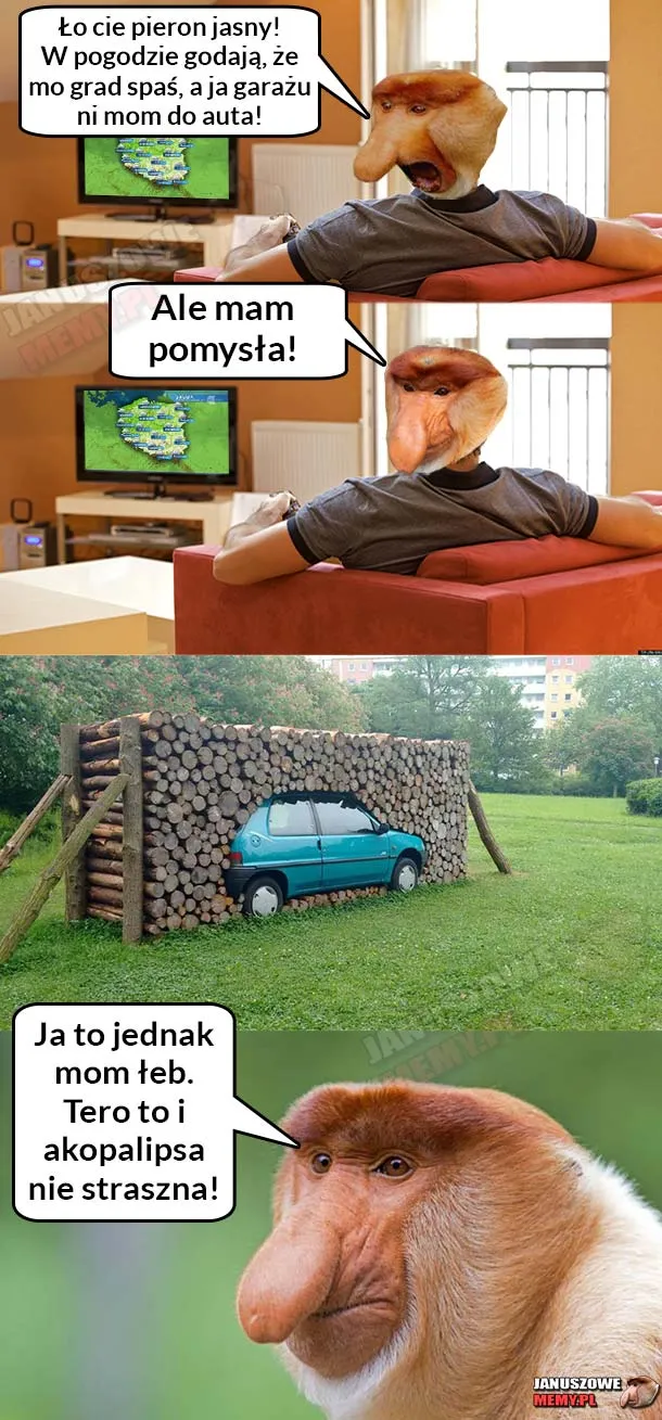 Garaż