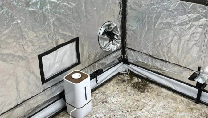 Policja zatrzymała trójmiejskich pseudokibiców