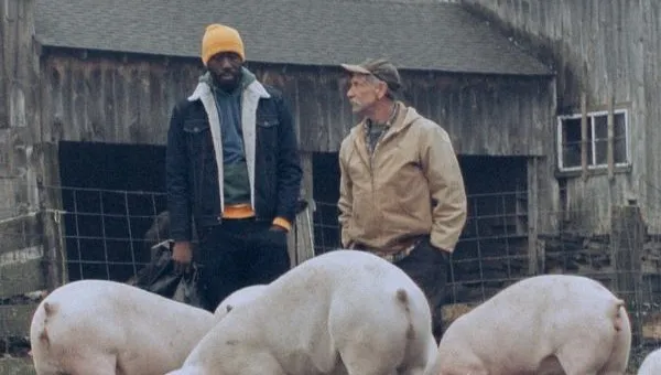"Król nie żyje" i "Królowa pracująca". To te filmy są zwycięzcami 12. American Film Festival