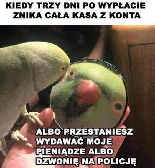 Wypłata