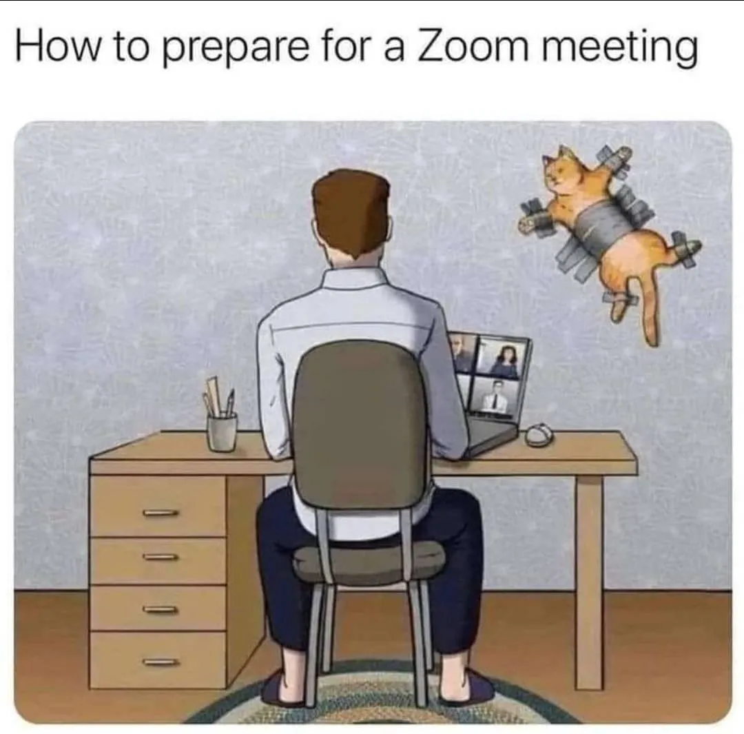 Zoom