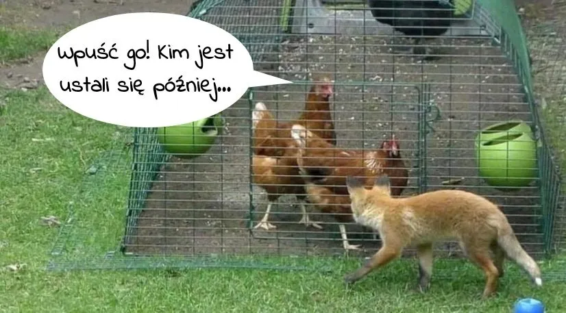 Wpuść
