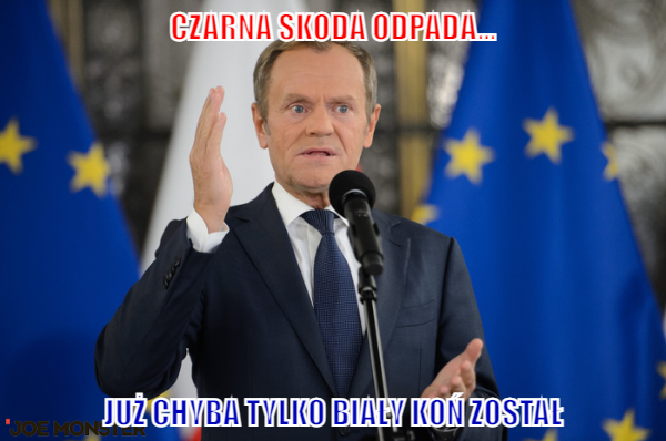 Biały koń