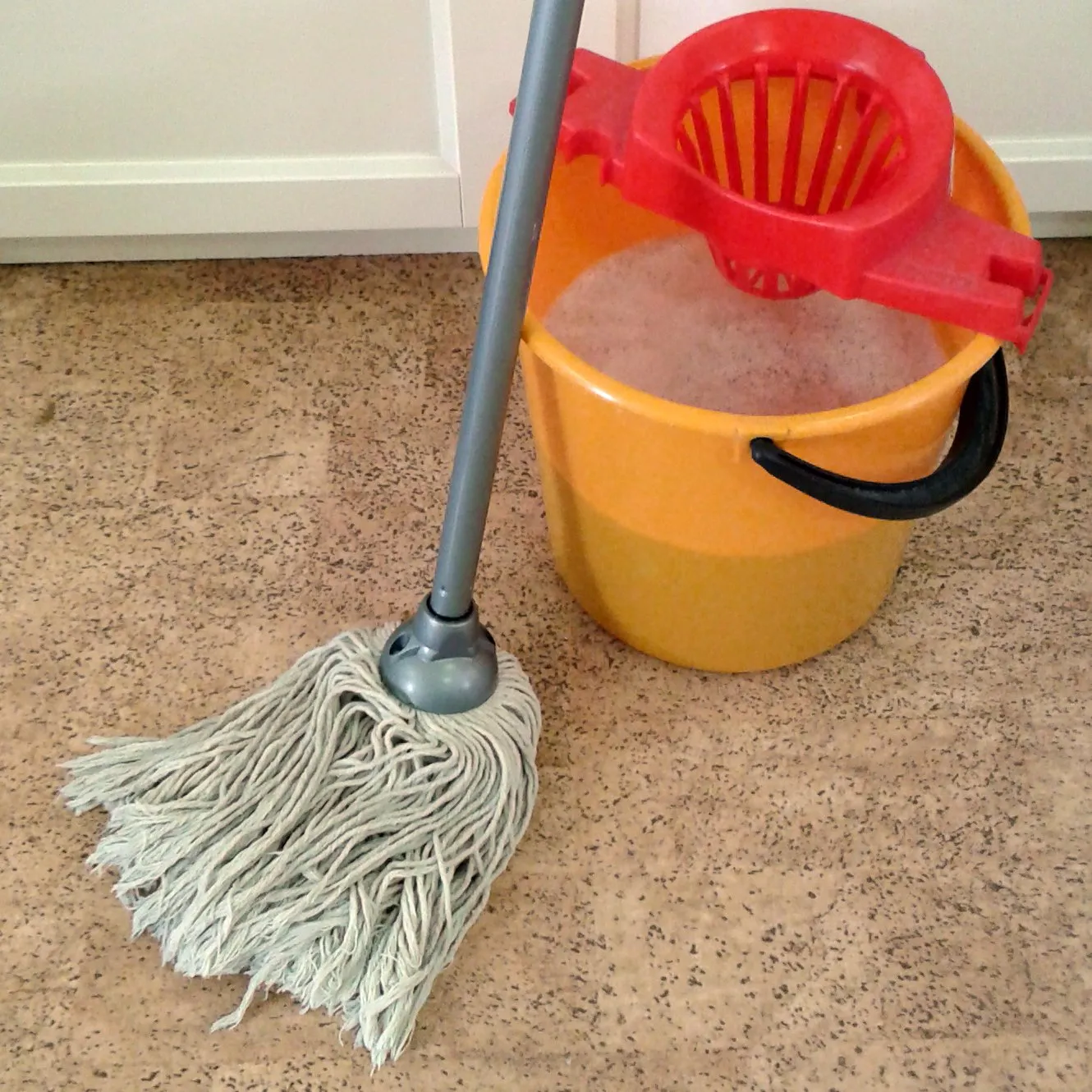Mop dla Lempart