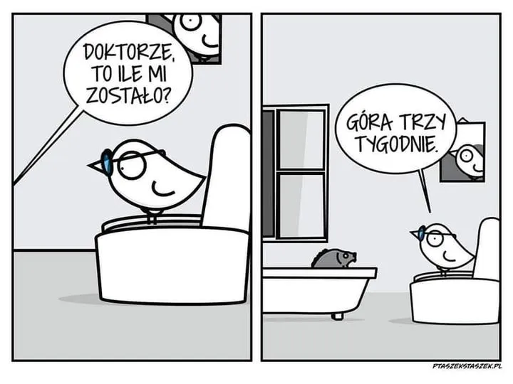 Doktorze