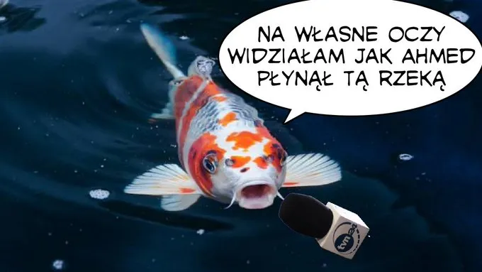 Płynął