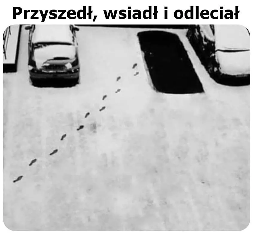 Odleciał