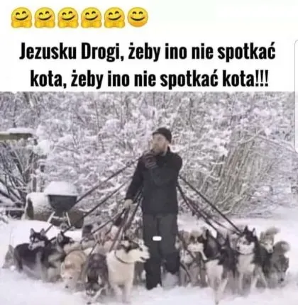 Nie spotkać kota