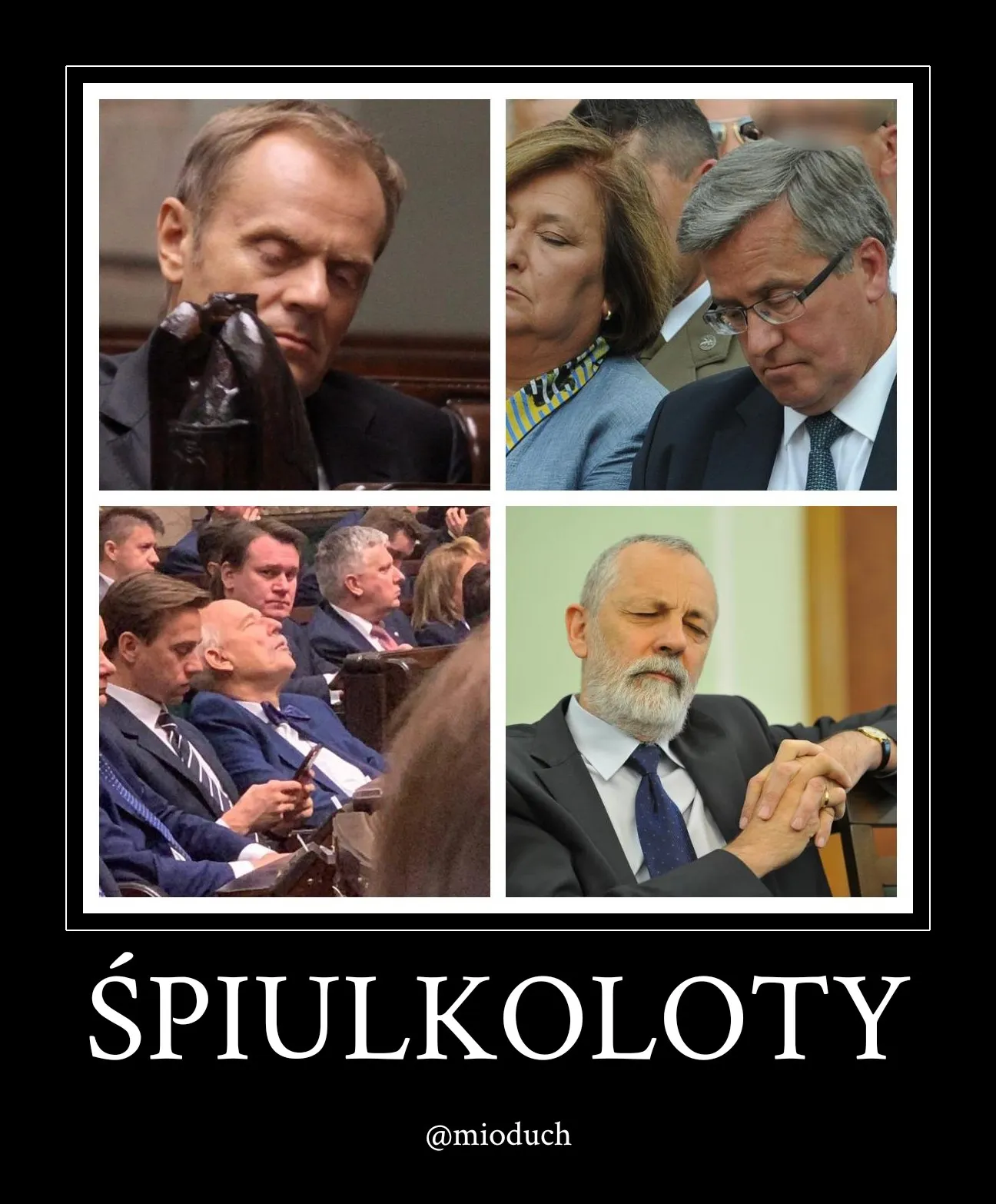 Śpiulkoloty