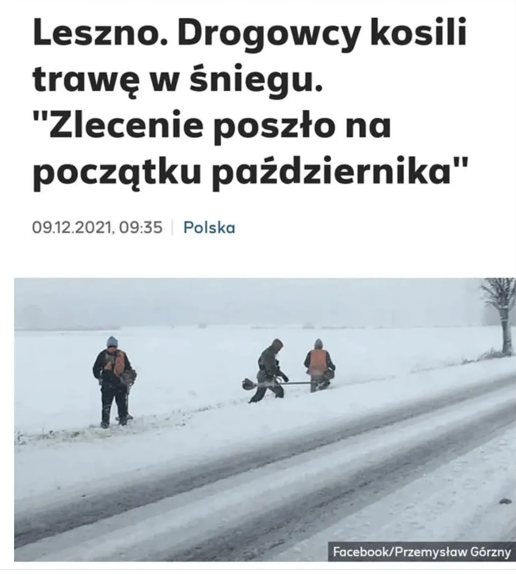 Koszenie trawy