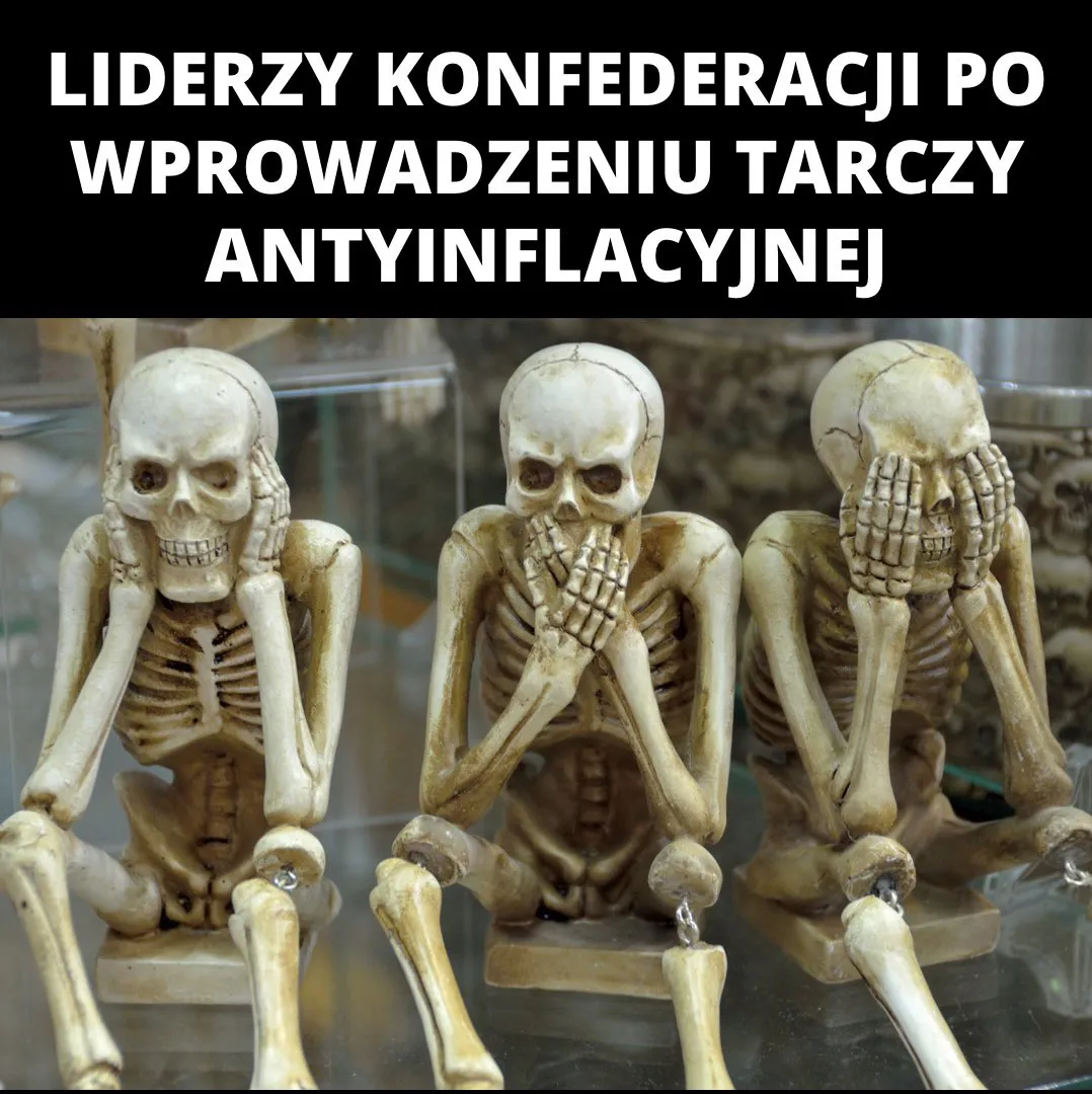 Konfederacja