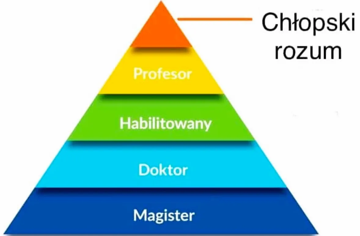 Chłopski rozum