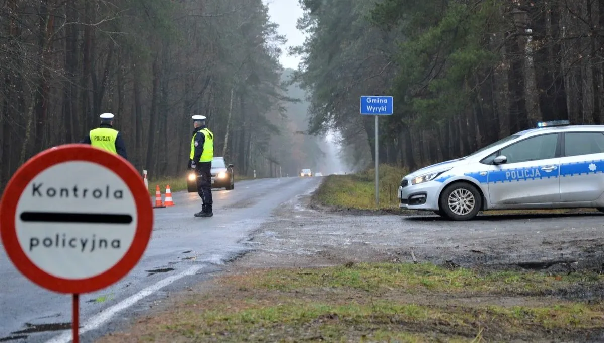 Szlaki migracyjne przyciągają uwagę fałszerzy [FILM]