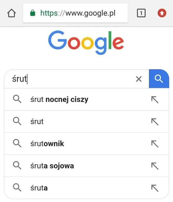 Śrut