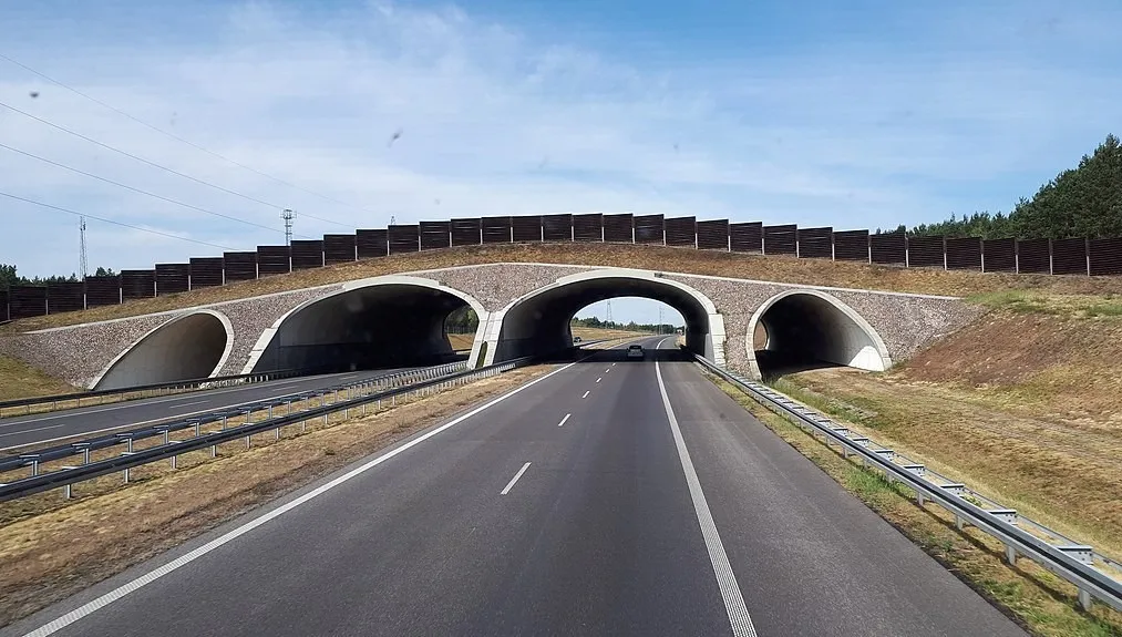Do Siedlec autostradą A2 już za dwa lata