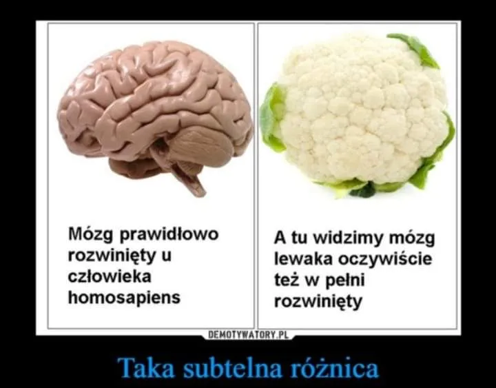 Subtelna różnica