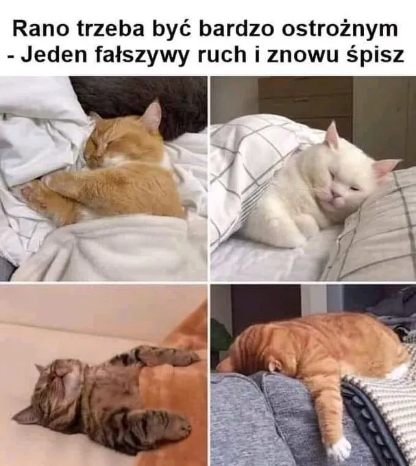 Fałszywy ruch