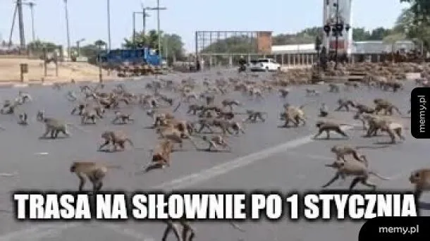 Nowy Rok