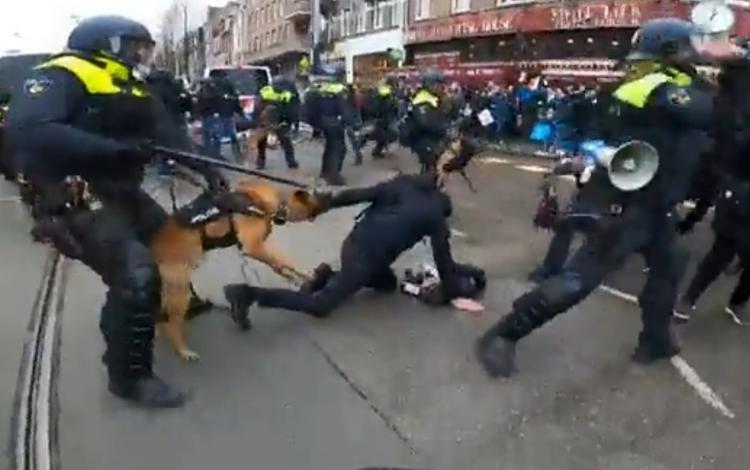 W Holandii policja interweniowała bardzo brutalnie