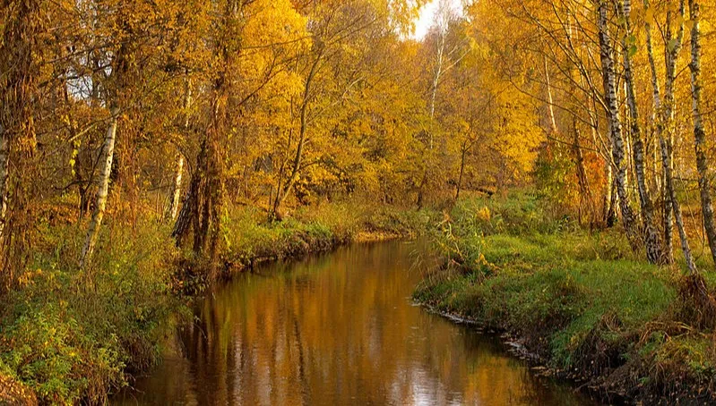 Bzura niebezpiecznie wysoka? Jest ostrzeżenie