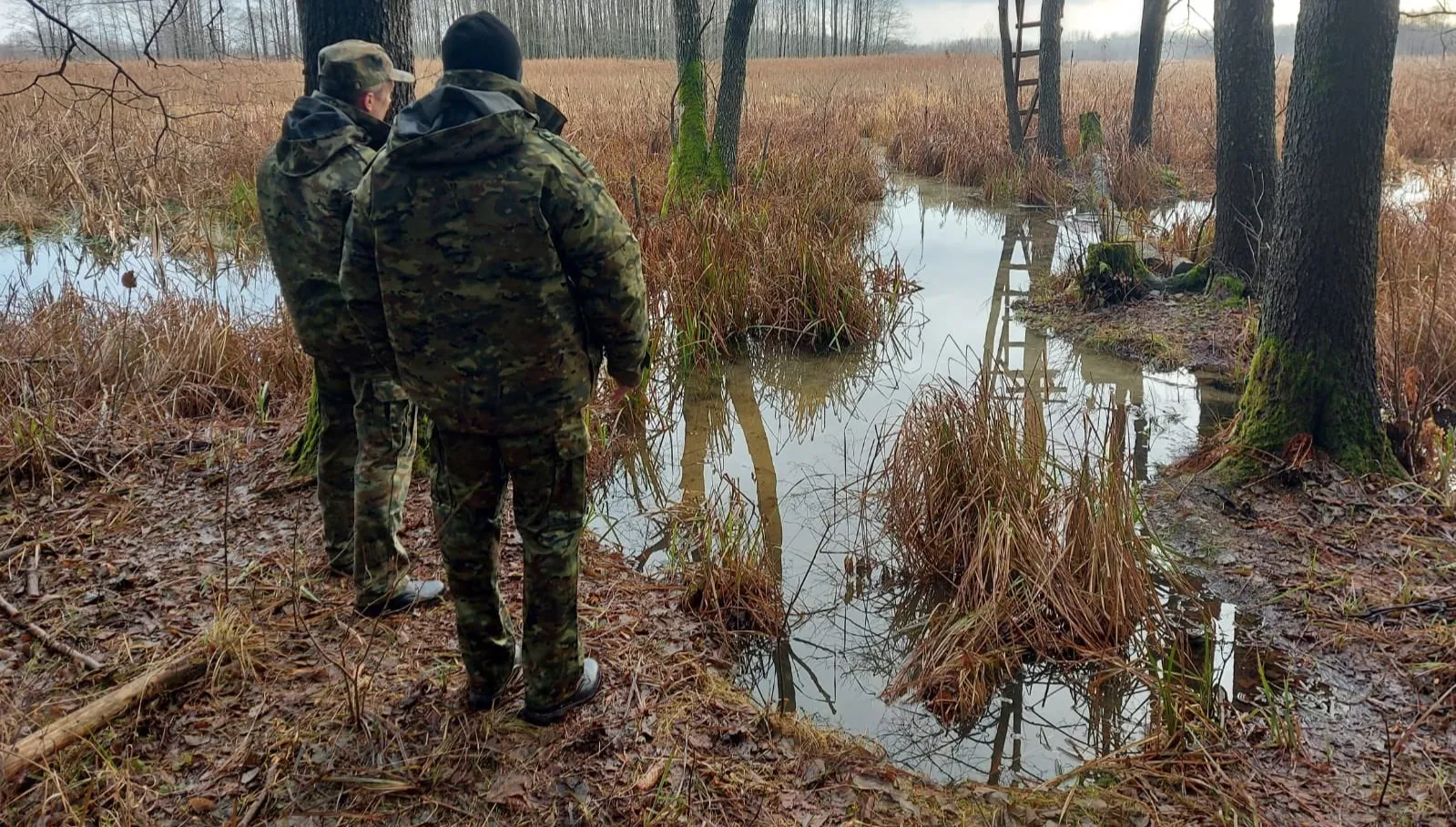 Białoruskie służby robią to celowo. "Kierują cudzoziemców w miejsca trudno dostępne, a nawet groźne"