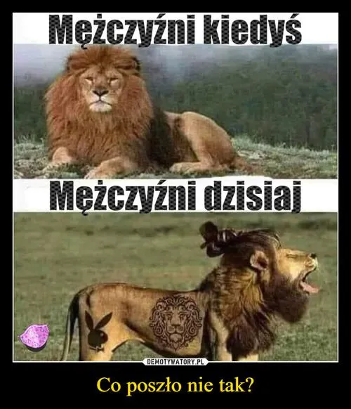 Co poszło nie tak?